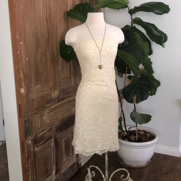Zara Dresses & Skirts - Zara fitted lace dress.
